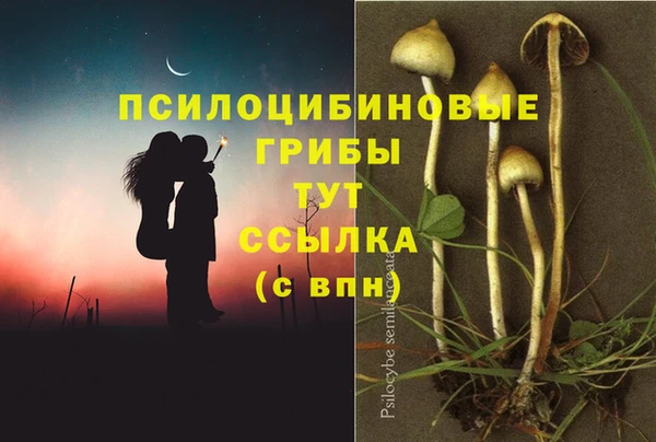 мескалин Бугульма