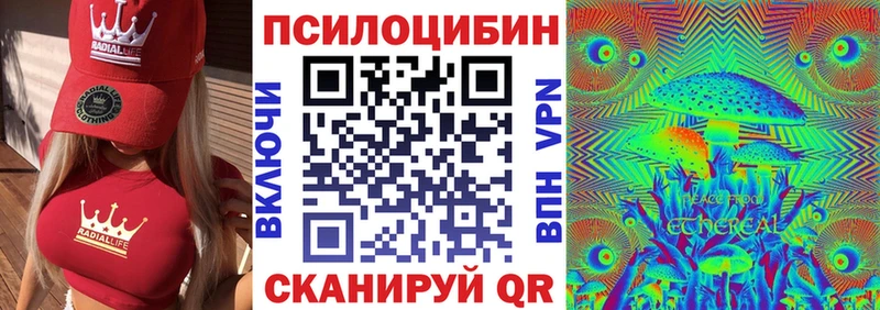 Псилоцибиновые грибы Cubensis  Липки 